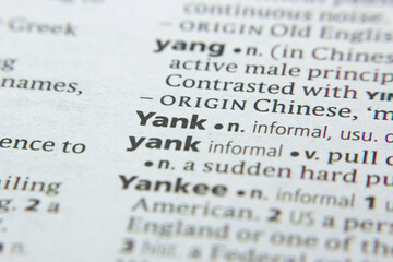 Word or phrase Yank in a dictionary.