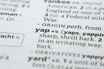 Word or phrase Yap in a dictionary.