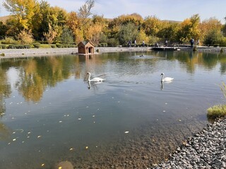 park in the city of Wols, Saratov region, Russia