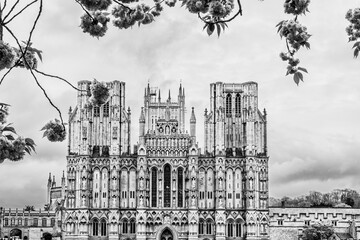 Wells Cathedral, Cathedral Church of St Andrew the Apostle in Wells, Somerset, UK