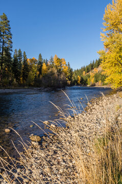 Cle Elum River - Fall Colors Along The Cle Elum River, Washington.