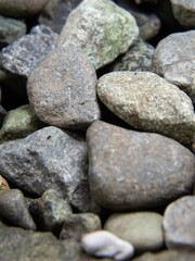 いろいろな小石のアップ