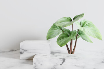 White marble product display podium with nature leaves. 3D render	