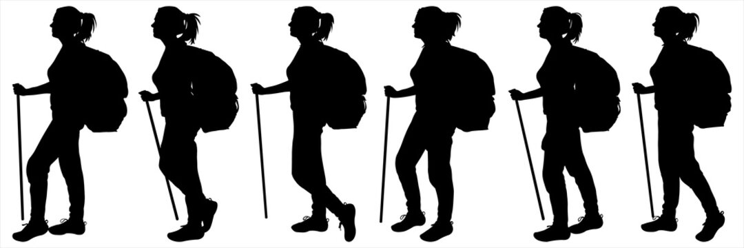 Girls with walking sticks walk behind each other. Hiking. Tourists with backpacks on their back in the hike. Side view, profile. Six black female silhouettes are isolated on a white background.