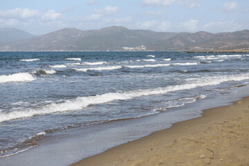Sandy Beach and Waves