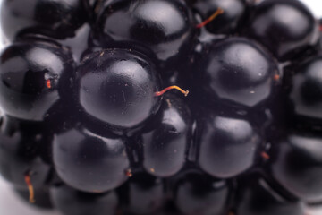blackberry macro shot isolated on white background