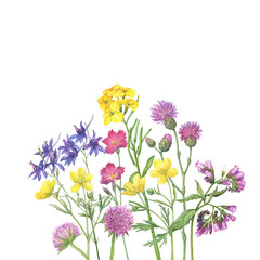 Bouquet with purple crown vetch, larkspur, field thistle, carnation, Cheiranthus cheiri, comfre and sweet Scabiosa flowers. Watercolor hand drawn painting illustration isolated on white background