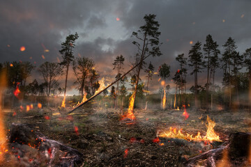 Waldbrand 