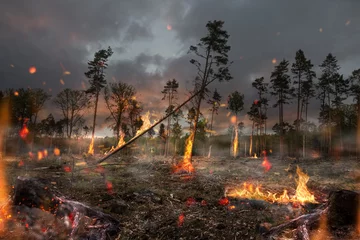 Waldbrand  © cstirit