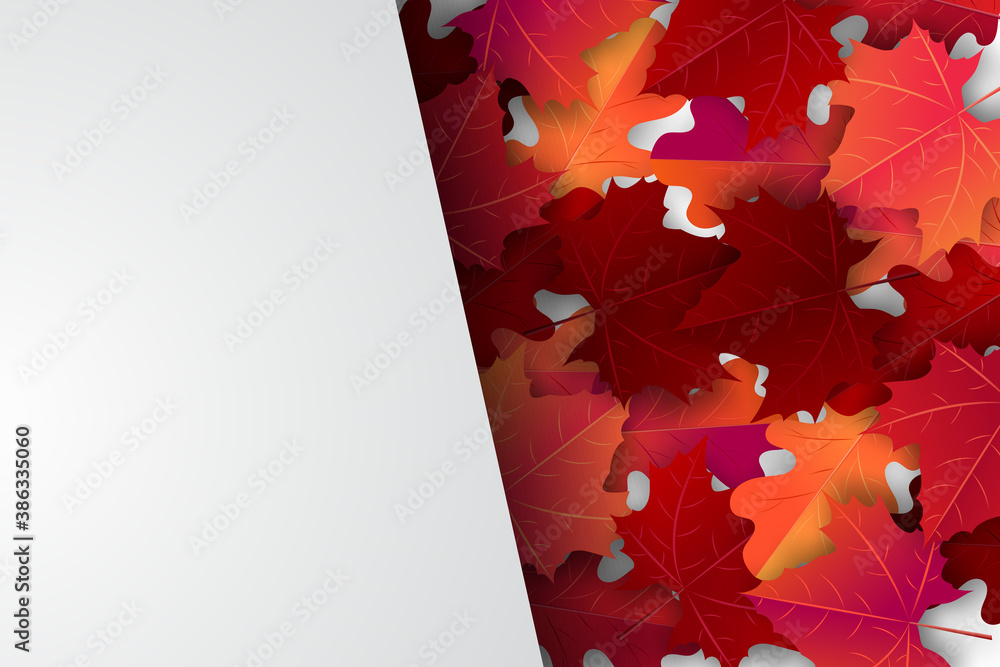 Wall mural autumn background with red and orange maple leaves and space for text. realistic vector illustration