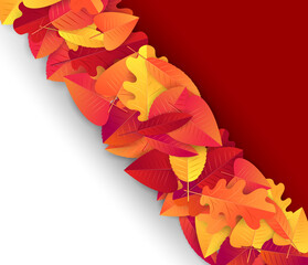 Autumn design template. Red and orange leaves on white and black background. Backdrop for fall sale concept. Vector illustration.