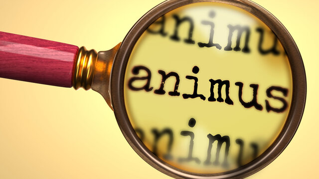 Examine and study animus, showed as a magnify glass and word animus to symbolize process of analyzing, exploring, learning and taking a closer look at animus, 3d illustration