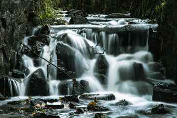  silent stream © Cezary