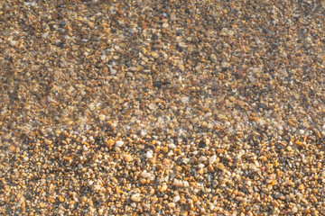 Small brown stones are washed by sea water. Stone background. Sea shore. Pebble beach.