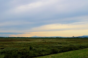 秋　渡良瀬　河川敷　風景　