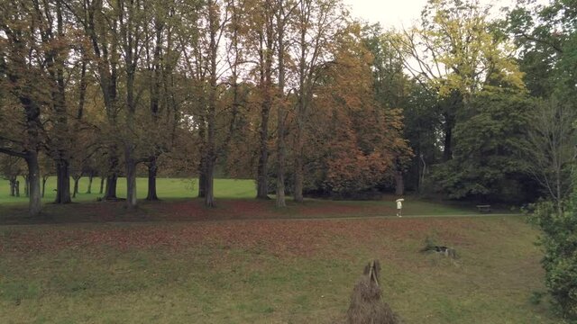 Lone person with umbrella walking at a forest park in autumn. Raindrops falling. Push in aerial shot