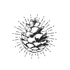 Flat illustration - Pine cone for Christmas decore
