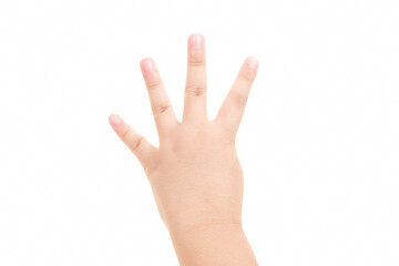 Hand shown four finger symbol on isolated white background for graphic designer.