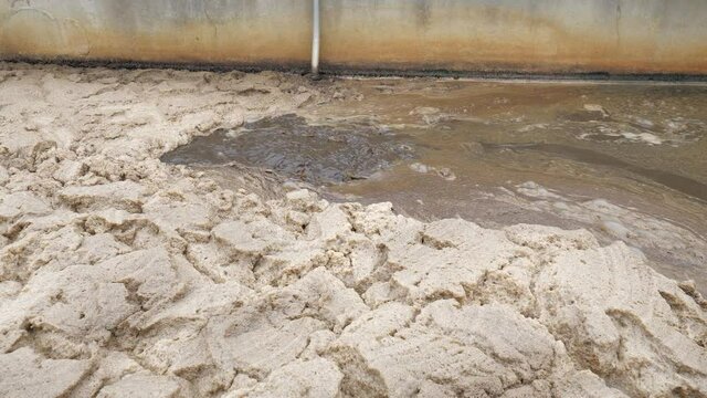 Residual methane and air bubles leave digestible biomass in a sedimentation tank. Thick brown foam.