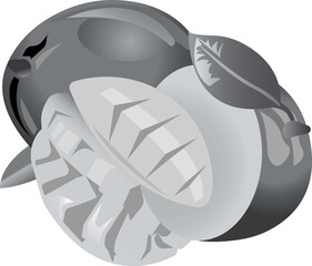 Mango with a twig and a leaf and a cut piece.