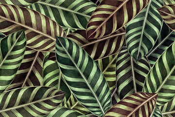 Watercolor painting colorful tropical green leaves seamless pattern background.Watercolor hand drawn illustration tropical exotic leaf prints for wallpaper,textile Hawaii aloha summer style.