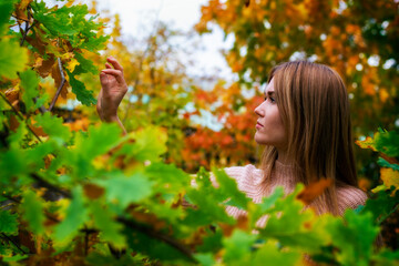 Beautiful girl in a knitted sweater in the autumn Park.Portrait of a girl in autumn leaves.