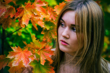 Beautiful girl in a knitted sweater in the autumn Park.Portrait of a girl in autumn leaves.