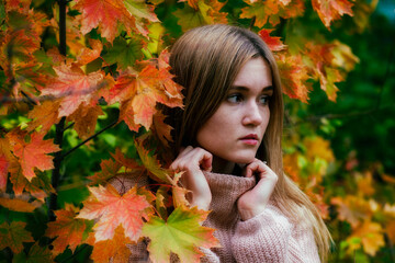 Beautiful girl wrapped in a knitted sweater in the autumn Park.