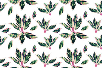 Watercolor painting colorful tropical pink leaves seamless pattern background.Watercolor hand drawn illustration tropical exotic leaf prints for wallpaper,textile Hawaii aloha summer style.