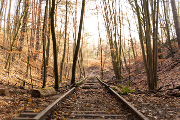Image of abandoned rail tracks crossing forest during autumn, Berlin, Germany.
