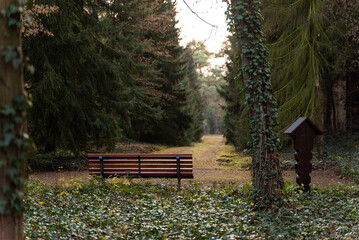 Single bench at empty cemetery, Berlin, Germany.