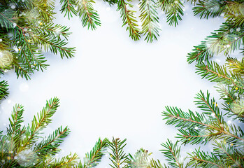 spruce branches around white copy space