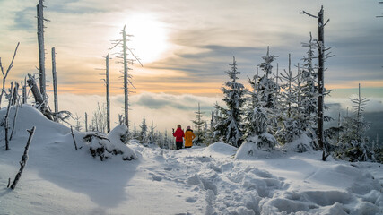 Above clouds in winter paradise