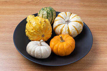  Pumpkins of sorted colors to decorate Halloween party on wooden background