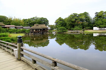 Obraz premium bridge on the pond in the green park