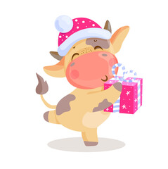 baby bull with a gift