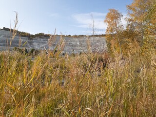 a glade in the forest in the Volskoye Cretaceous quarry, Saratov region, Russia