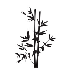 Silhouette bamboo leaves on white background.