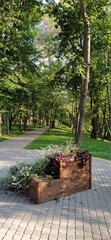 bench in the park