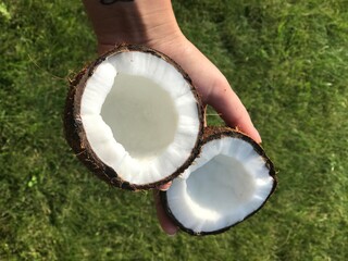 coconut on green grass