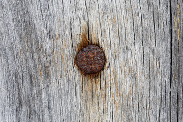 Rusty nail in the board