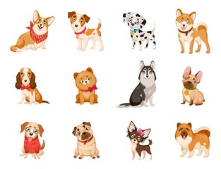 Funny dogs. Cute cartoon puppies different dog breeds set, corgi and husky, dalmatian and toy terrier, cute beagle, bulldog and jack russell. Domestic pet flat vector isolated collection