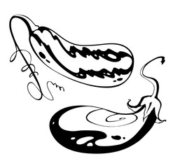 set of vector drawing eggplant and zucchini, black and white graphics, engraving, hand drawn vegetable, gourmet cuisine, vegetarian, farm isolated on white background for print, cookbook, logo.