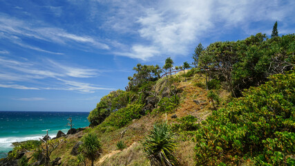 Fototapeta na wymiar View across steep headland with grass and trees, to the ocean, on a clear sunny day. Coolangatta, Queensland, Australia.