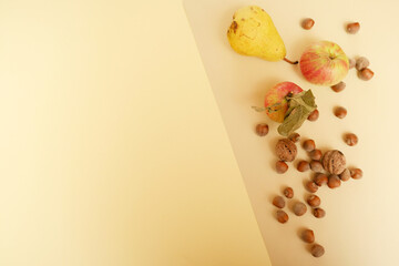 Autumn fruits top view, two tone paper background concept