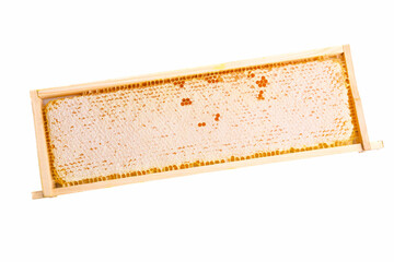 Sealed honeycomb of honey in a wooden frame