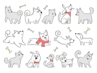 Funny dogs. Domestic puppy characters in action poses sitting jumping playing vector animals. Domestic dog pose, funny puppy breed illustration