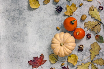 Autumn composition with pumpkins for Thanksgiving or Halloween. Yellow pumpkin, fallen leaves, chestnuts, acorns on a dark background, copy space, top view, flat lay. Autumn frame of pumpkin and dry