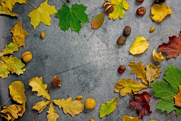 Autumn frame composition flat lay of fallen leaves, acorns, chestnuts, orange pumpkins on a black stone table, top view, copy space