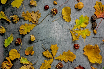 Autumn frame composition flat lay of fallen leaves, acorns, chestnuts, orange pumpkins on a black stone table, top view, copy space